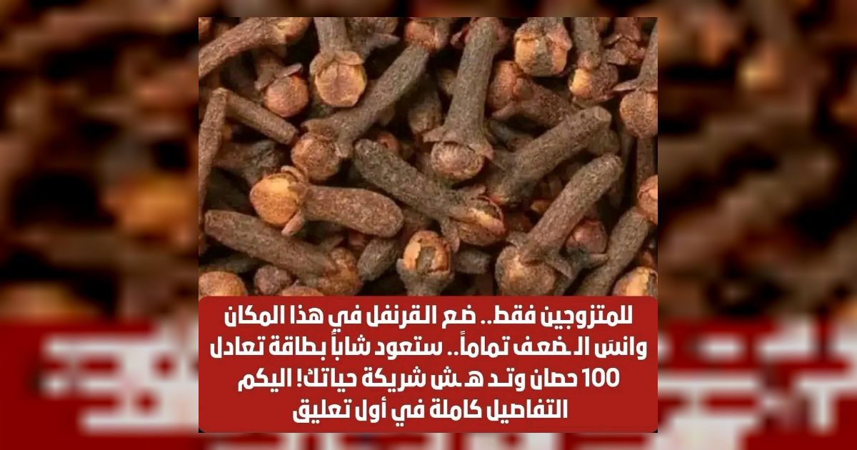 القرنفل للمتزوجين فقط