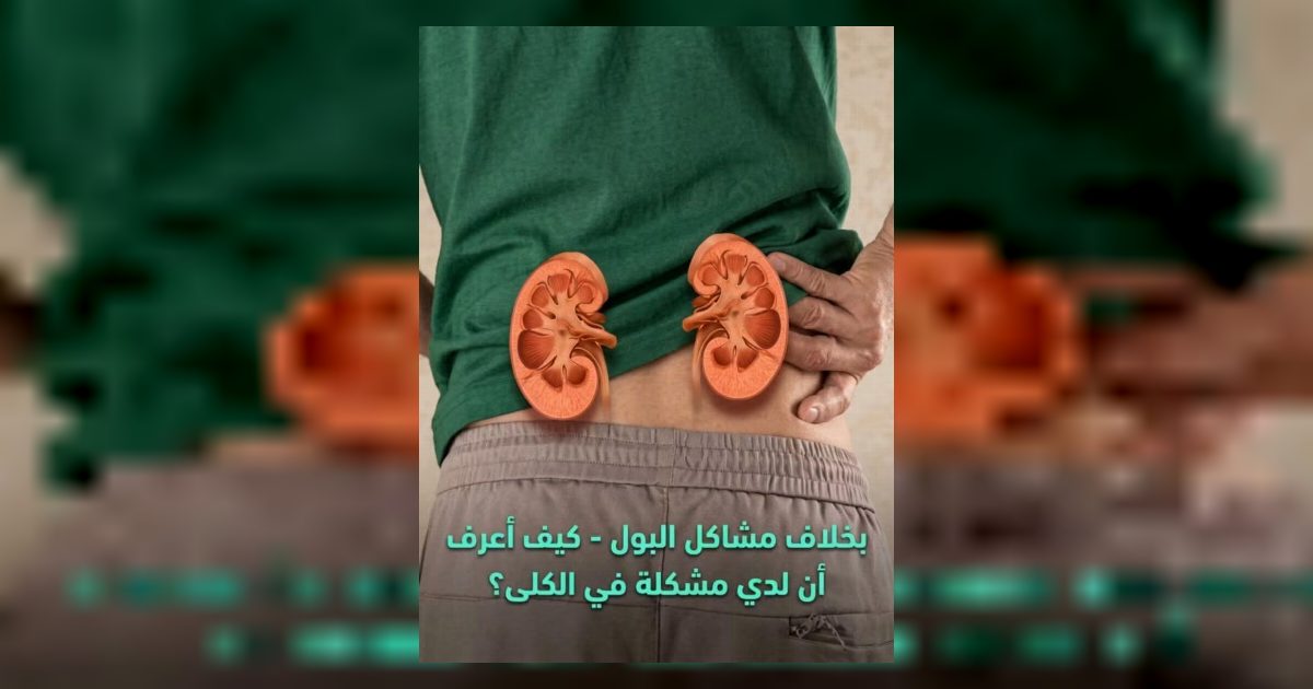 كيف تكتشف ضعف وظائف الكلي