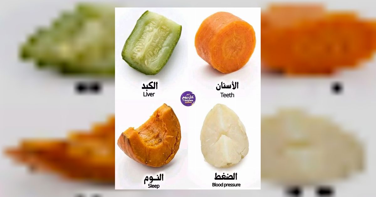 الجزر المصلوق حماية الأسنان واللسه