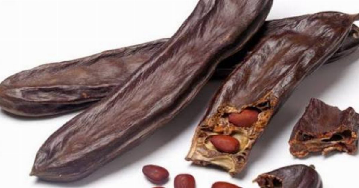فوائد الخروب للجسم