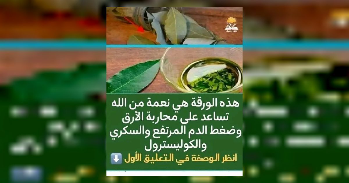 هذه الورقه