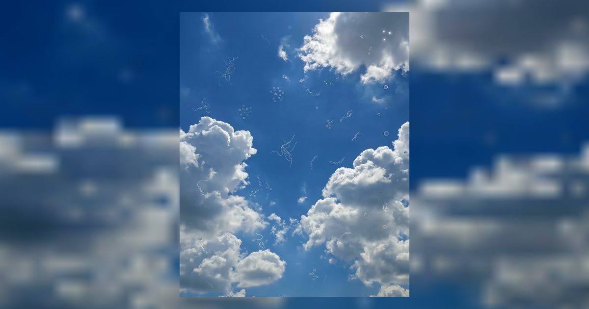 أجسام صغيرة بتتحرك قدام عينيك وكأنها بتطفو في الهواء؟ إنها العوائم البصرية❗ هل تريد أن تعرف ما هي وما سببها؟