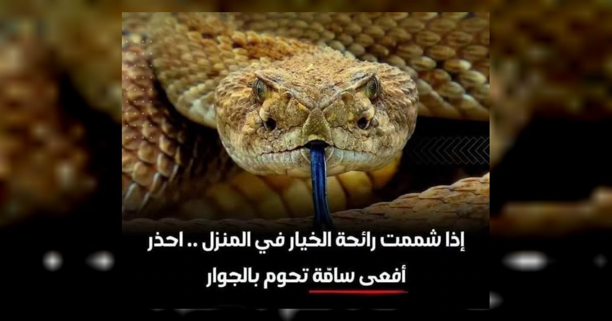 تحذير.. "خطر في منزلك" إذا شممت رائحة الخيار فهناك أفعى سامة