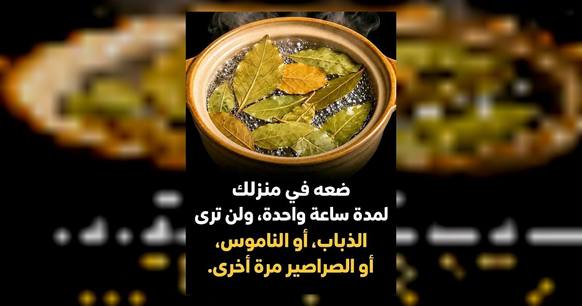 ضعيه في ركن المنزل