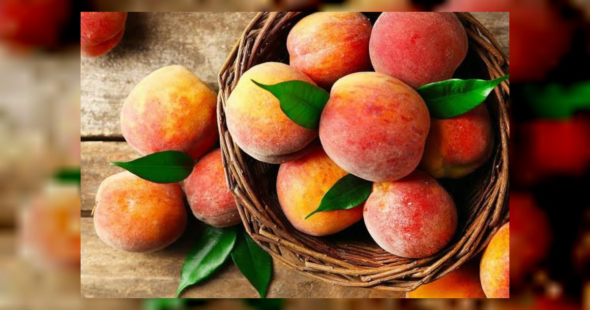 فوائد الخوخ للحامل والجنين وأضرار تناوله أثناء الحمل