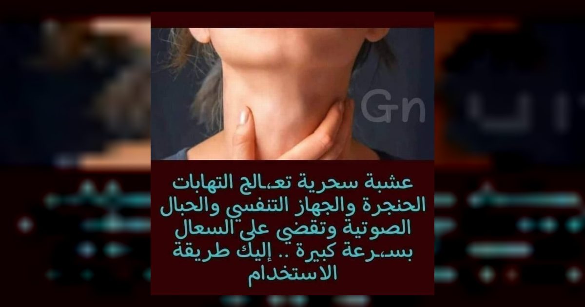 🔥عشبة سحرية تعـ،ـالج التها..بات الحنجرة والجهاز التنفسي والحبال الصوتية وتقضي على السعال بسـ،ـرعة كبيرة .. إليك طريقة الاستخدام؟