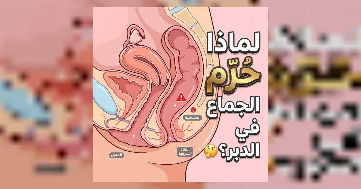 لماذا نهى الاسلام