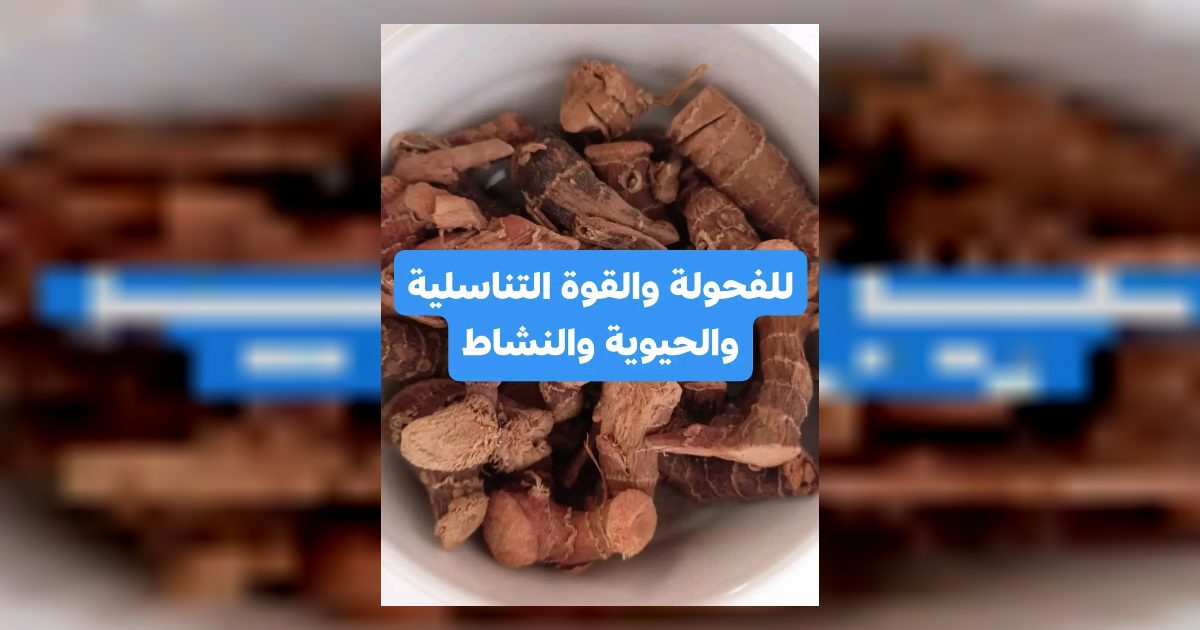 للفحوله وقوة النشاط