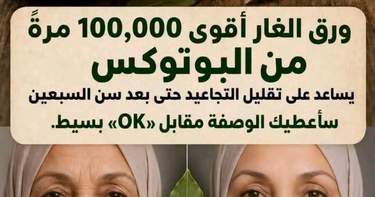 أوراق الغار