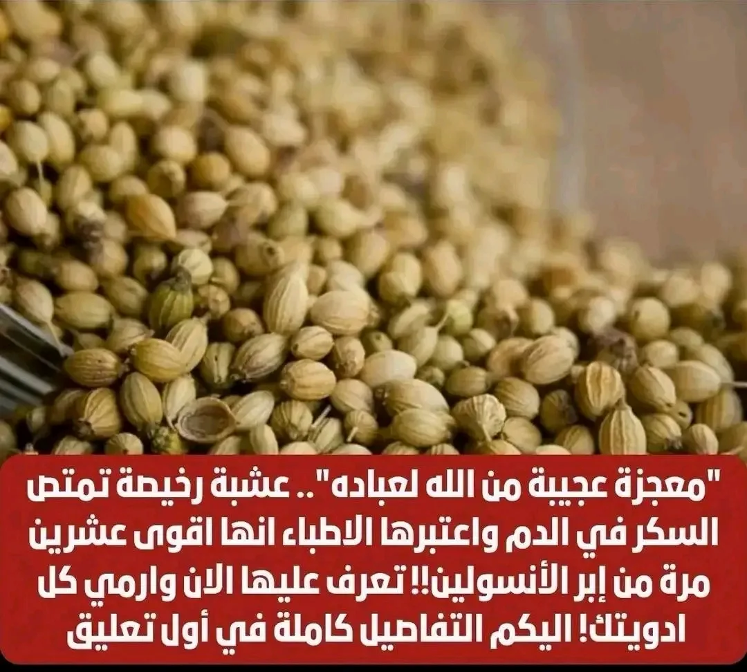 معجزة عجيبة!! تمتص السكر بالدم عرض المزيد