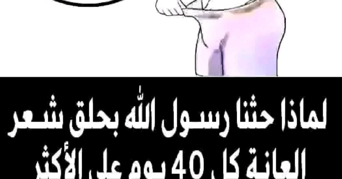 لماذا خلق الله تعالى للأنسان شعر حول اعضائه التنا.سلية..؟ وماهي اهميه هذا الشعر..