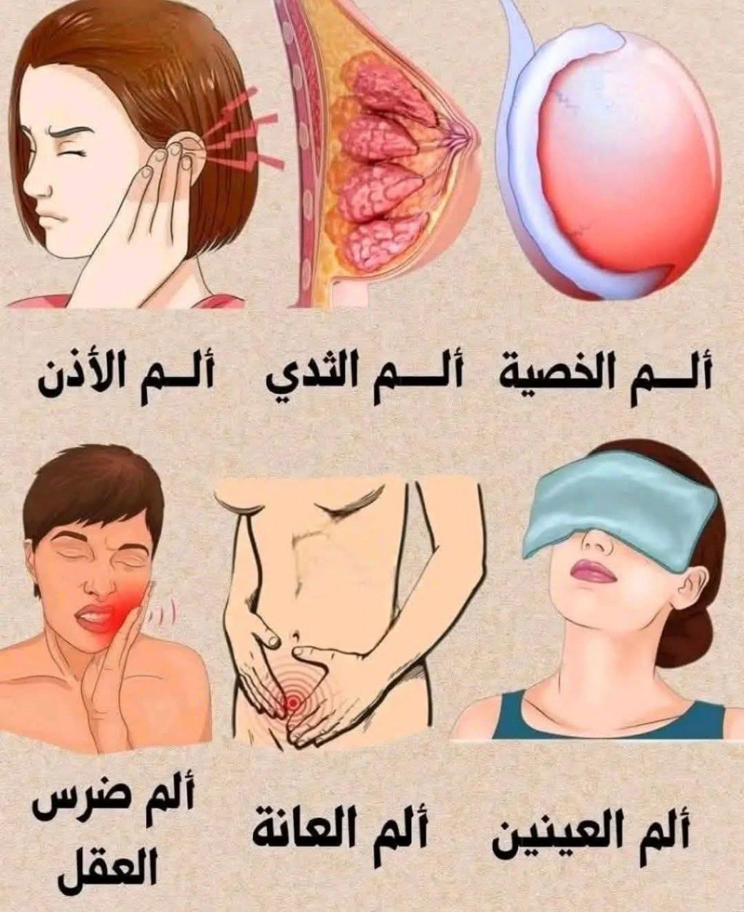 آ.لام التي لا يجب تجاهلها