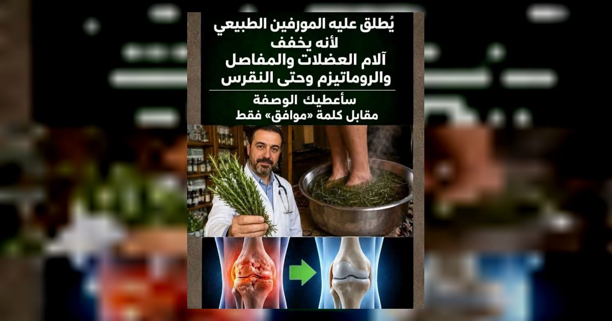لنرَ ماذا يفعل إكليل الجبل بجسمك…..,عرض المزيد