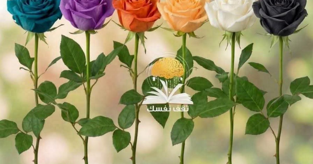 اختر  وردة من بين ال٦ وردات واكشف عن نوع المرأة التي انت عليها التفـ.ـاصيل مقـ.ـابل كلـ.ـمة “OK” بسيـ.ـطة في التعلـ.ـيق وشـ.ـاهد أول تعـ.ـليق