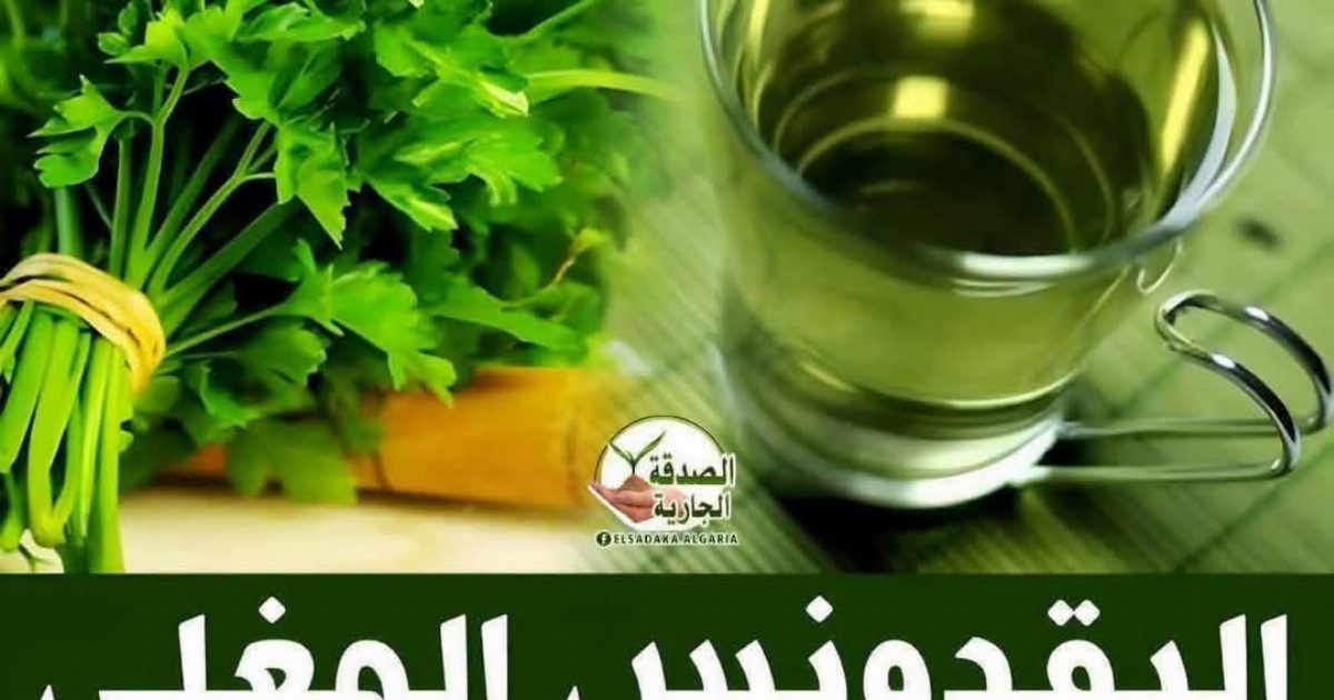 خدمة سداد: تسديد الفواتير إلكترونيًا بطريقة آمنة وسريعة داخل المملكة