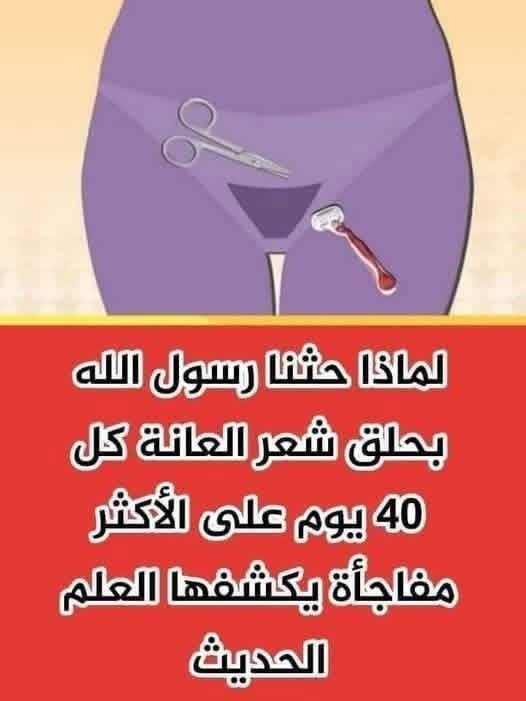 لماذا حثنا رسول الله بحلق شعر العانة كل 40 يوم على الأكثر مفاجأة يكشفها العلم الحديث